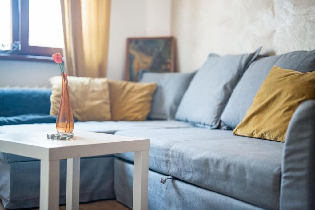 Central Apartment 2Bd Next To Vitosha Bul. 索菲亞 外观 照片